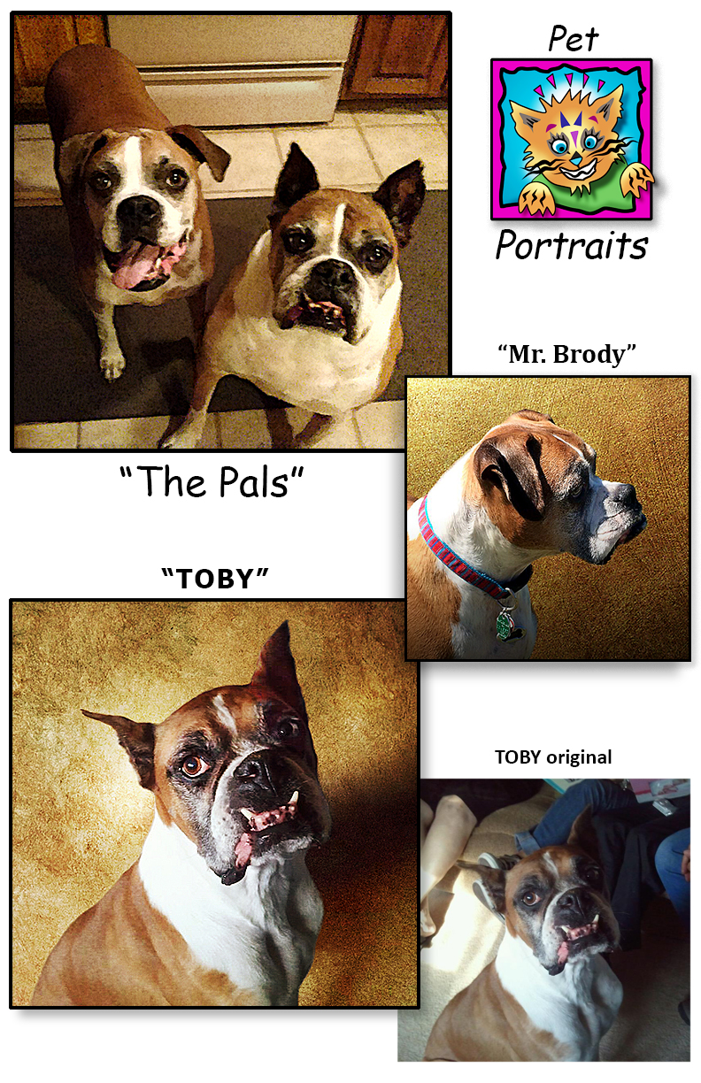 Pet Portraits