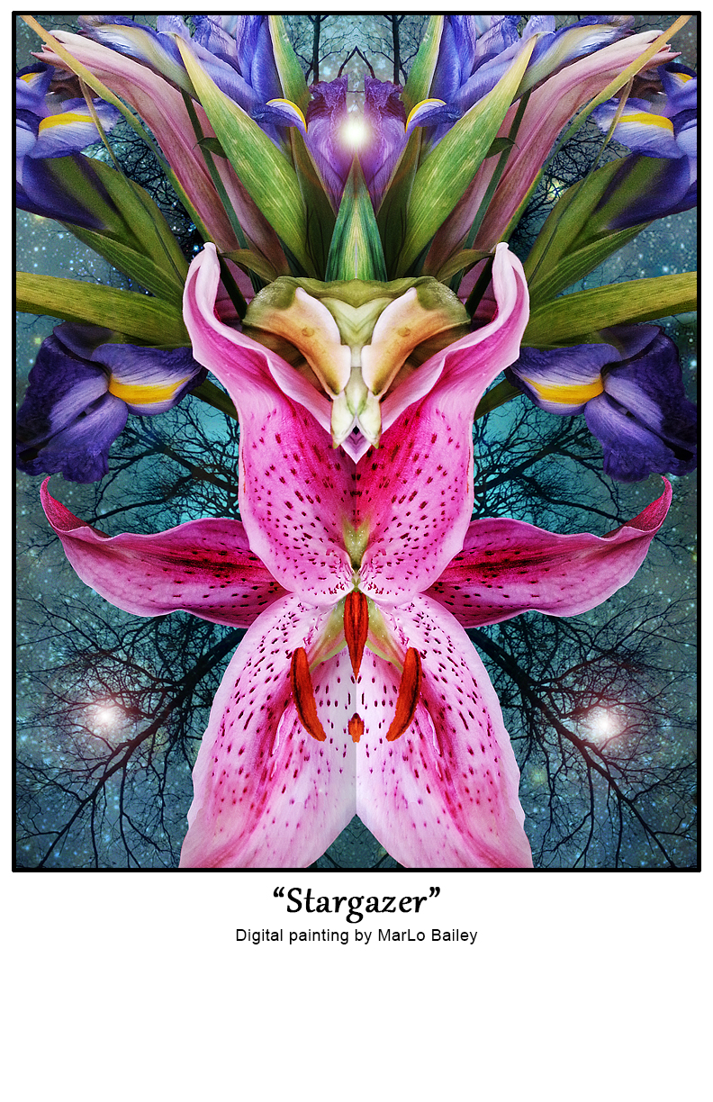 stargazer